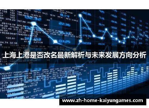 上海上港是否改名最新解析与未来发展方向分析