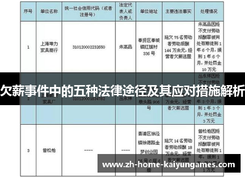 欠薪事件中的五种法律途径及其应对措施解析