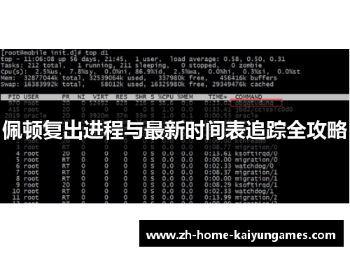 佩顿复出进程与最新时间表追踪全攻略