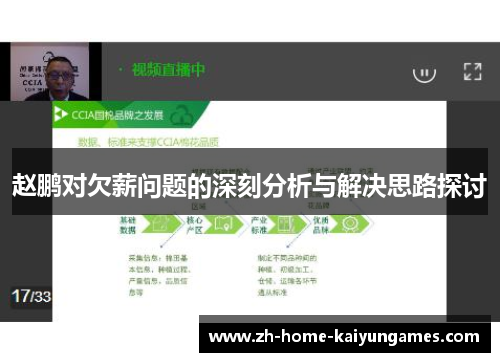 赵鹏对欠薪问题的深刻分析与解决思路探讨