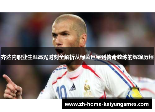 齐达内职业生涯高光时刻全解析从绿茵巨星到传奇教练的辉煌历程